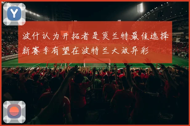 波什认为开拓者是莫兰特最佳选择新赛季有望在波特兰大放异彩